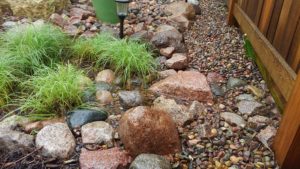 Rain Garden Detail